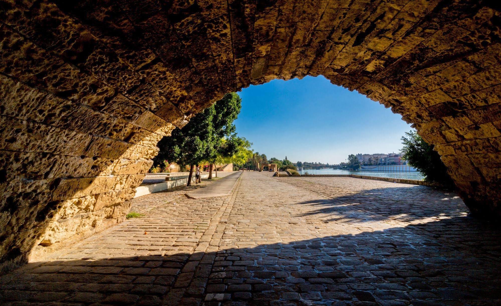 Jentoft Seville